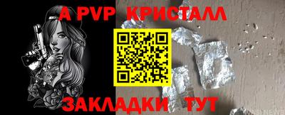 прущие грибы Кингисепп