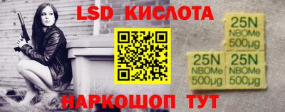 прущие грибы Кингисепп