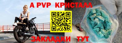 прущие грибы Кингисепп