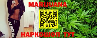 прущие грибы Кингисепп