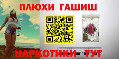 прущие грибы Кингисепп