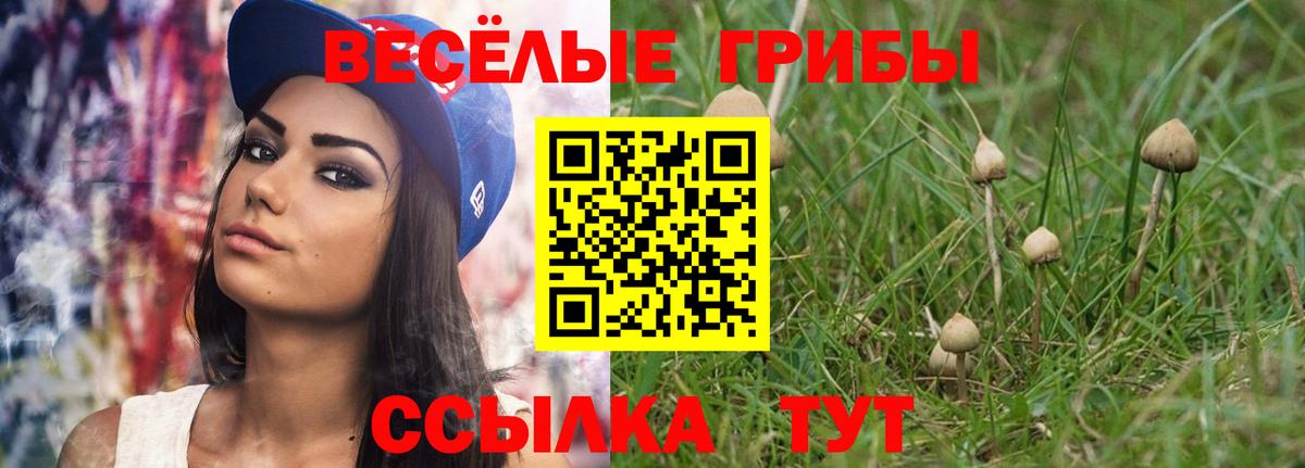 Псилоцибиновые грибы мицелий  Вход с VPN  Галлюциногенные грибы прущие грибы  Дальнереченск 
